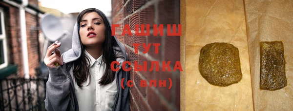 гашик Вяземский