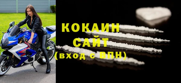 гашик Вяземский