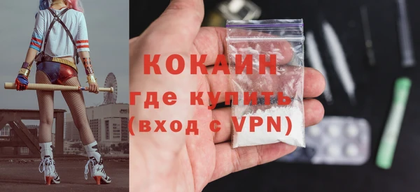 гашик Вяземский