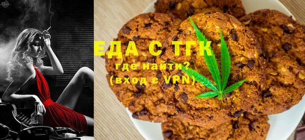 гашик Вяземский