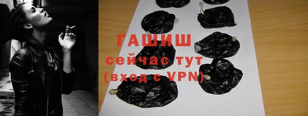 гашик Вяземский