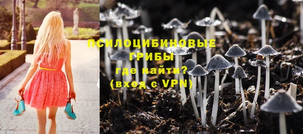 бутират Горнозаводск