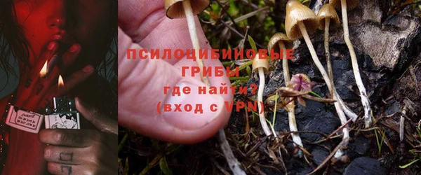 гашик Вяземский