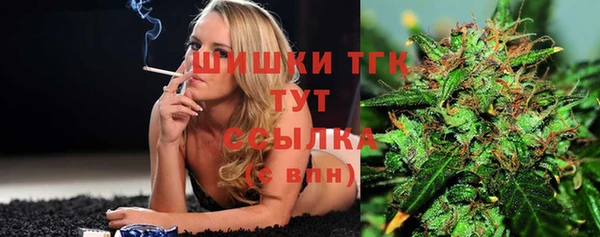 гашик Вяземский