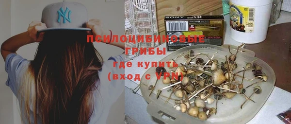 бутират Горнозаводск