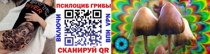 Купить где Лесной Псилоцибиновые грибы Magic Shrooms